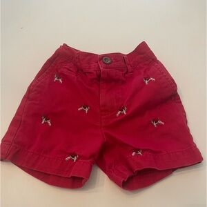 Ralph Lauren Polo Red Stitch Terrier Shorts